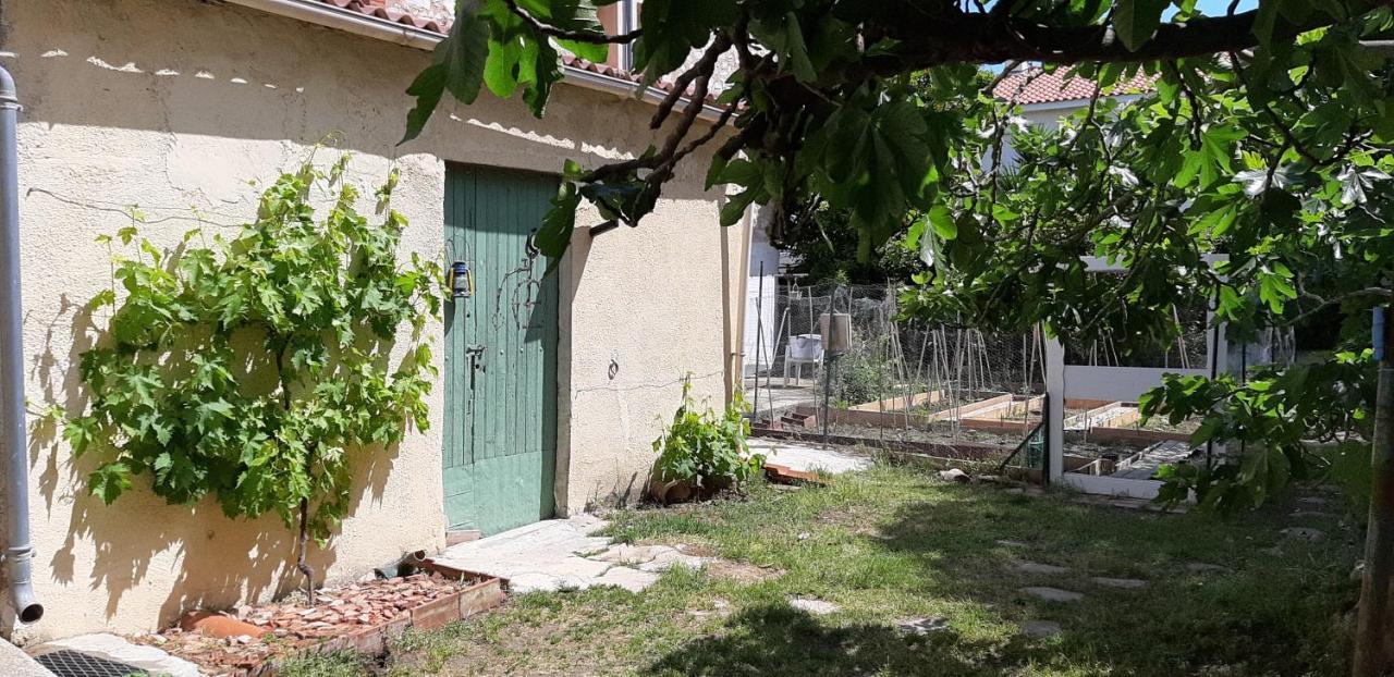 Chambre D'Hotes Du Mas Julianas Saint-Laurent-de-la-Salanque Εξωτερικό φωτογραφία