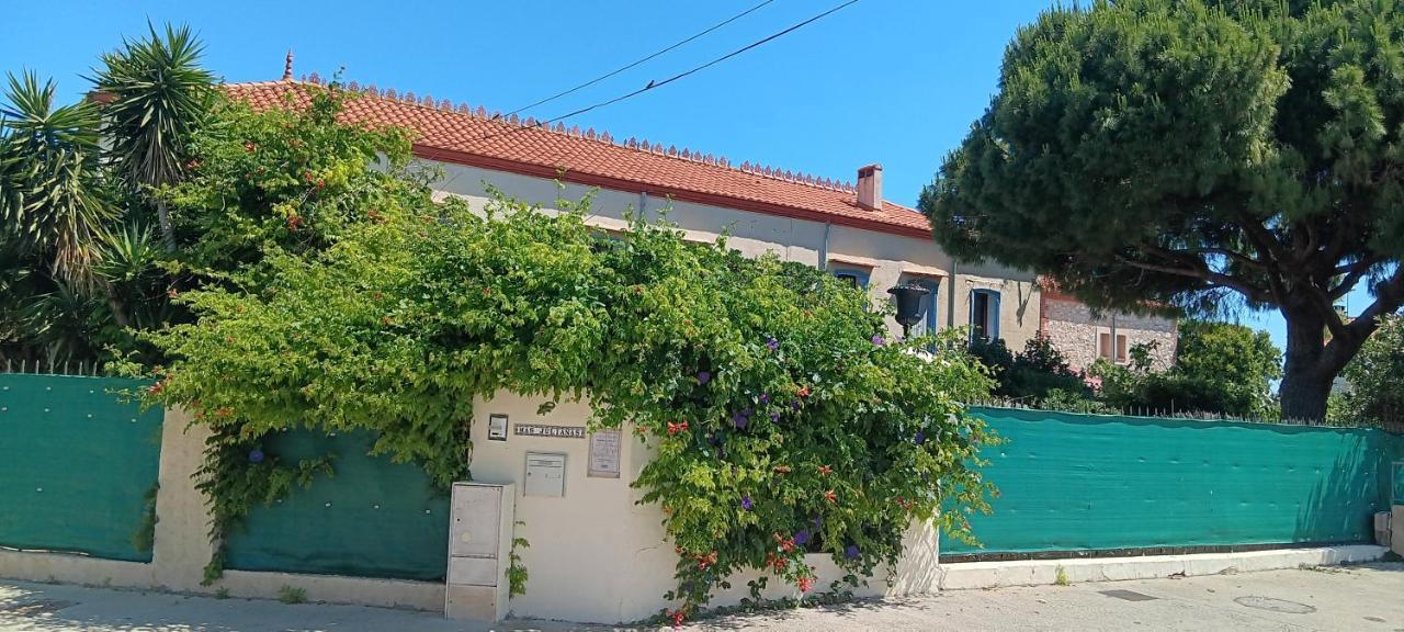 Chambre D'Hotes Du Mas Julianas Saint-Laurent-de-la-Salanque Εξωτερικό φωτογραφία